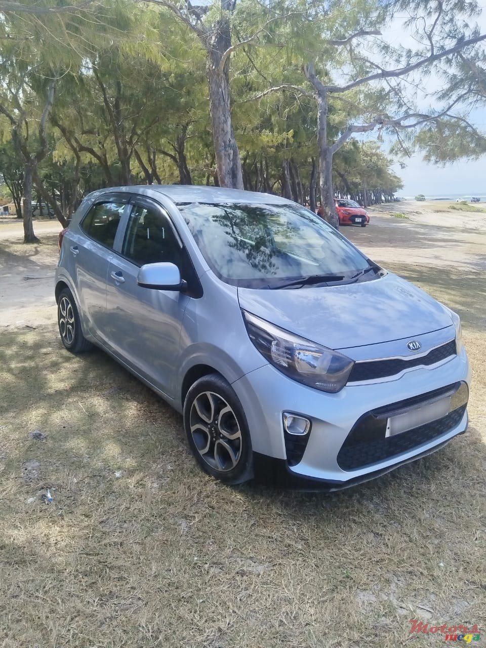 2019' Kia Picanto photo #1