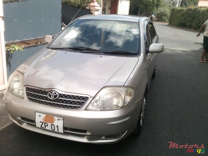 2001' Toyota Corolla photo #2