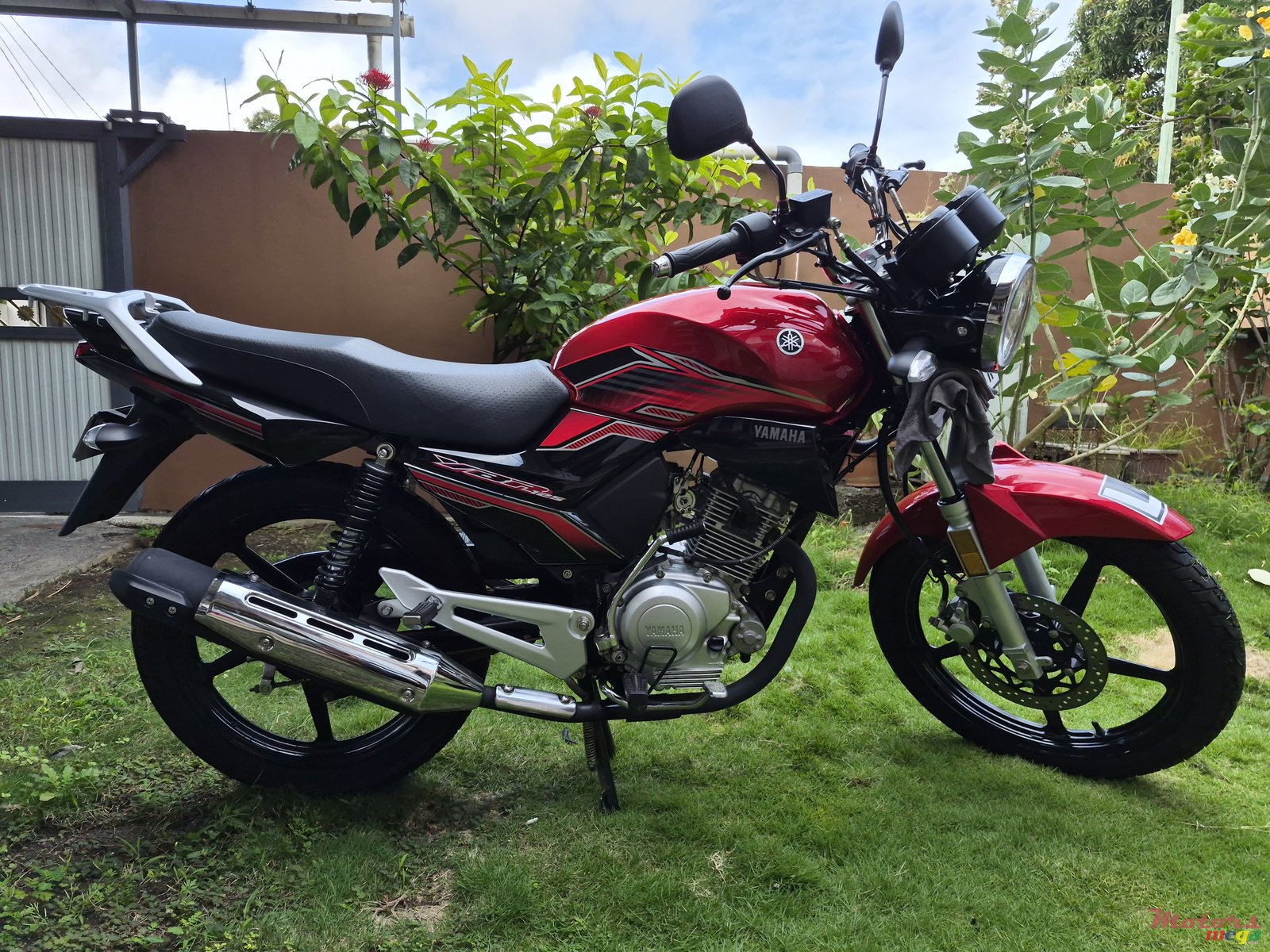 2024' Yamaha photo #1