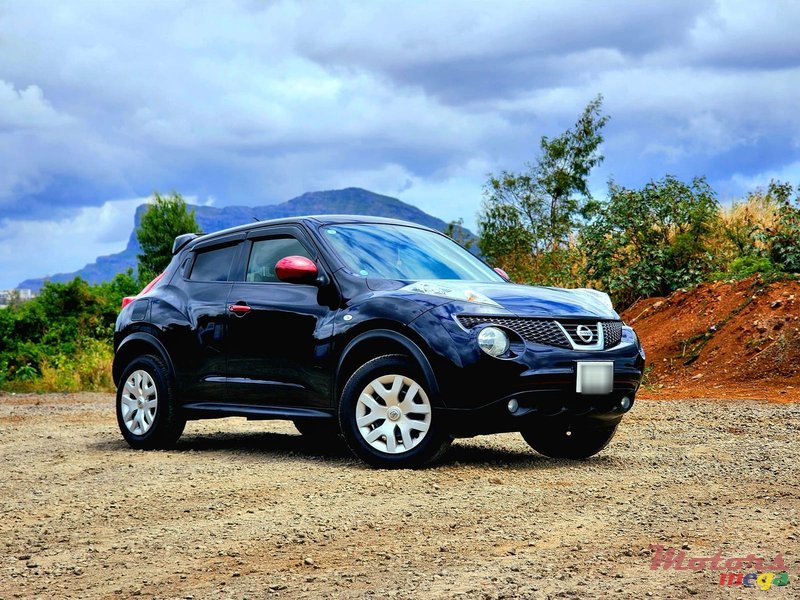 2013' Nissan Juke photo #2