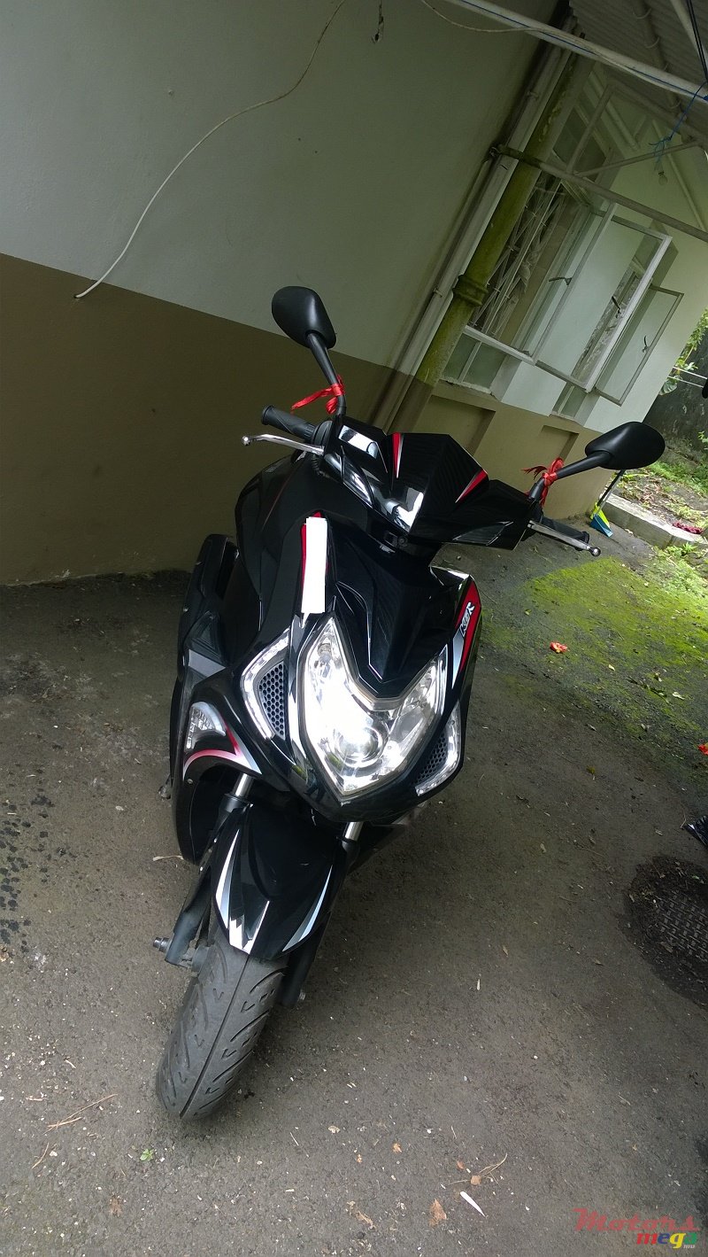 2015' Easy Rider photo #2