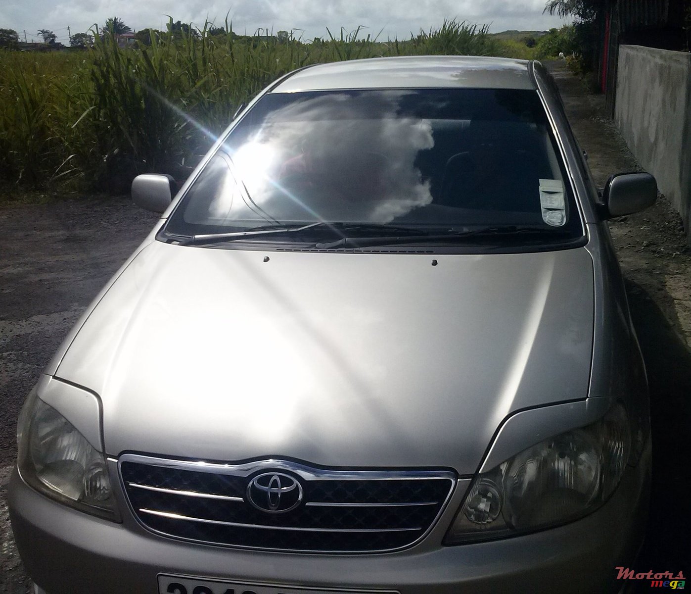 2001' Toyota Corolla photo #1