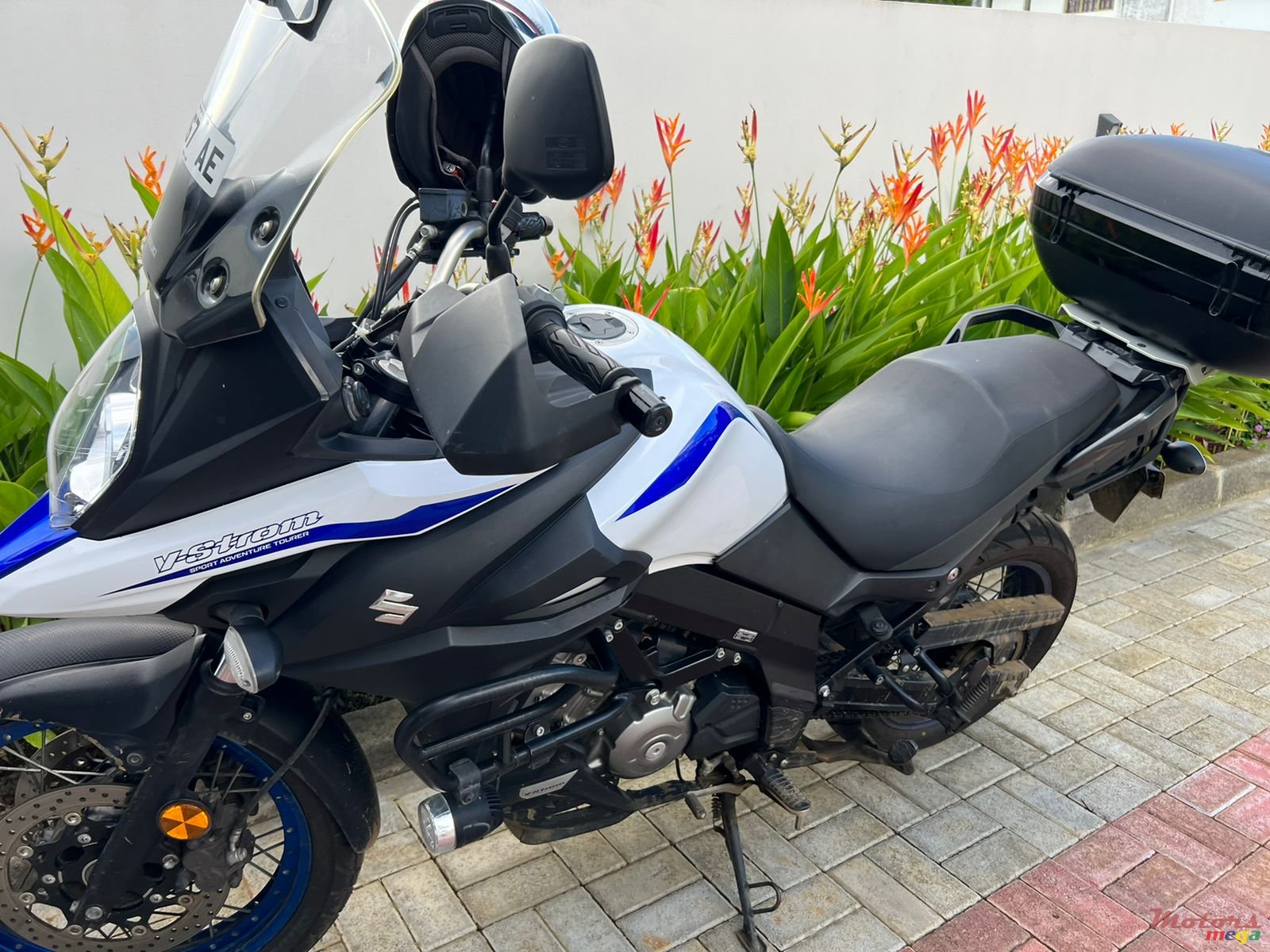 2020' Suzuki photo #3