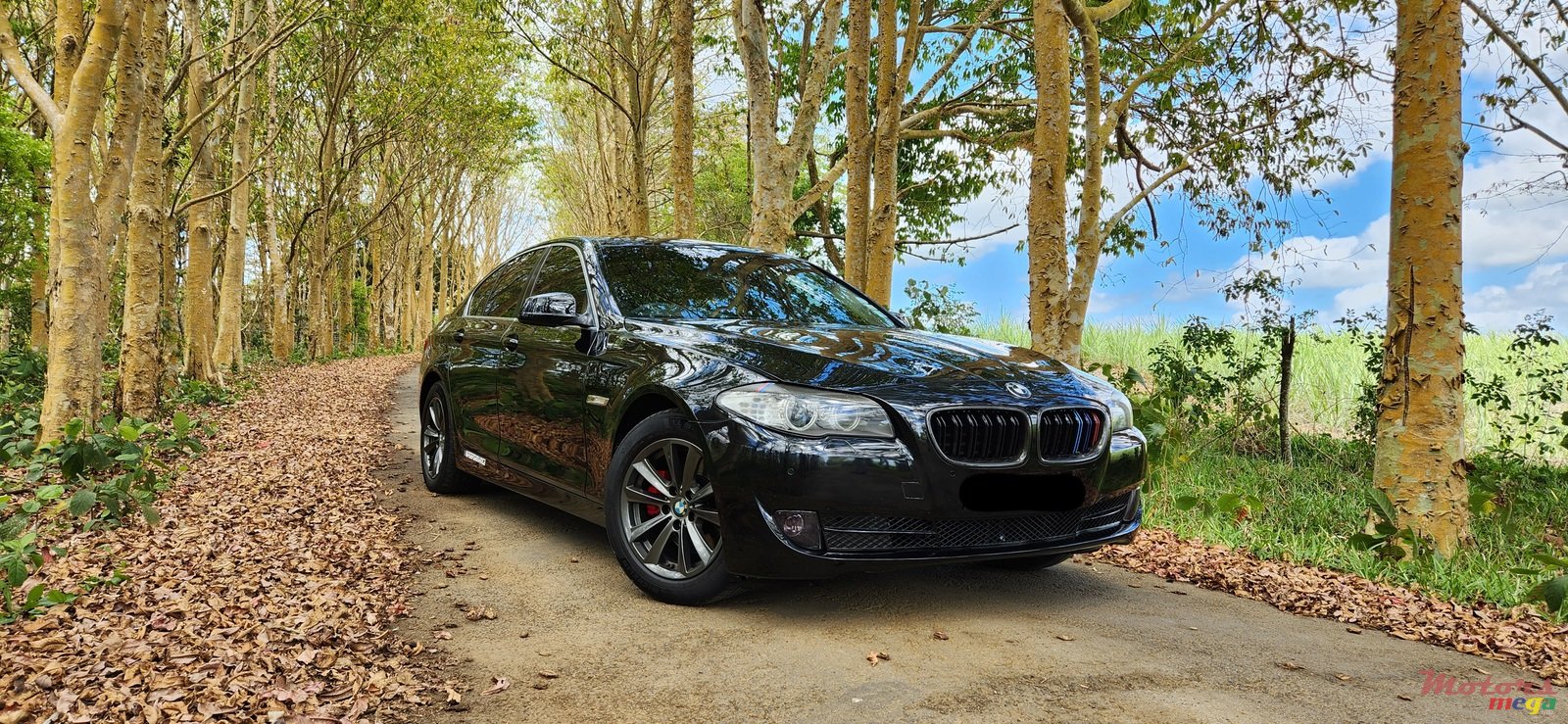 2010' BMW 5 Series photo #1