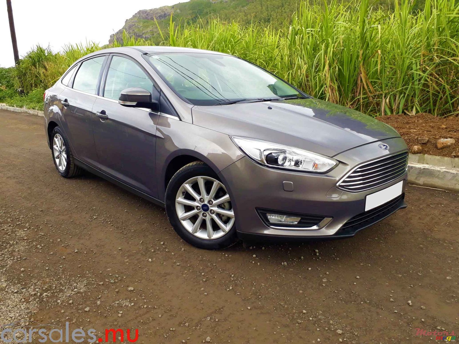 2015' Ford Focus 1.6 Titanium photo #1