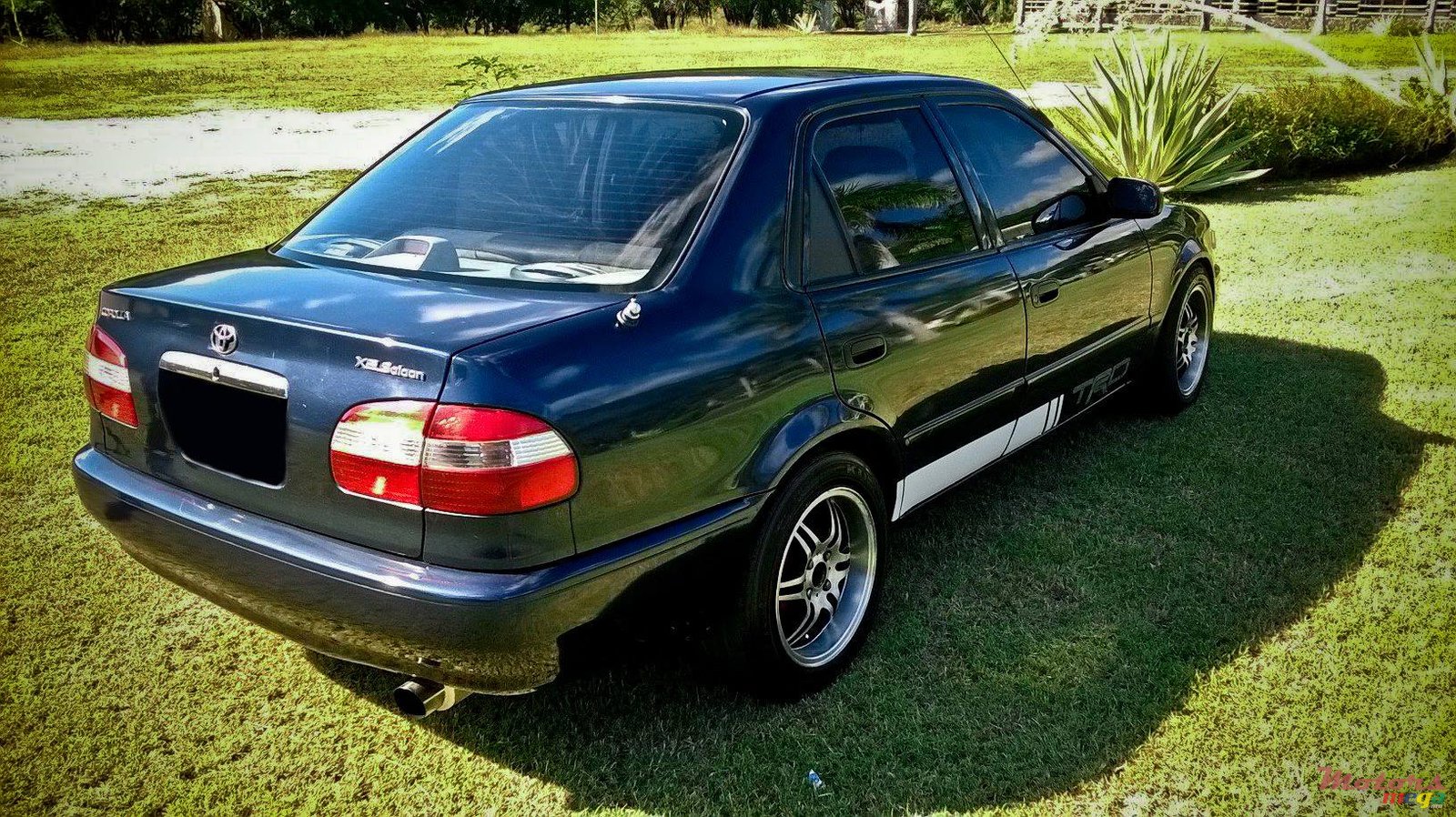 2000' Toyota Corolla photo #1