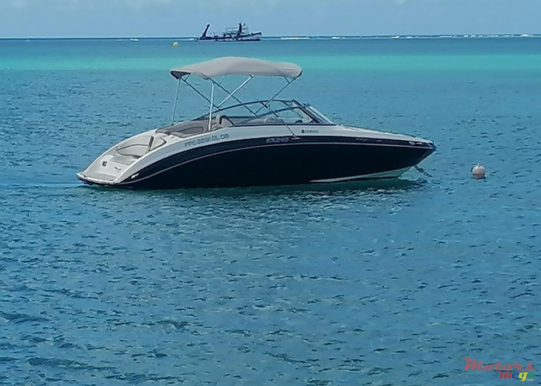 2013' Yamaha AR240SX photo #2