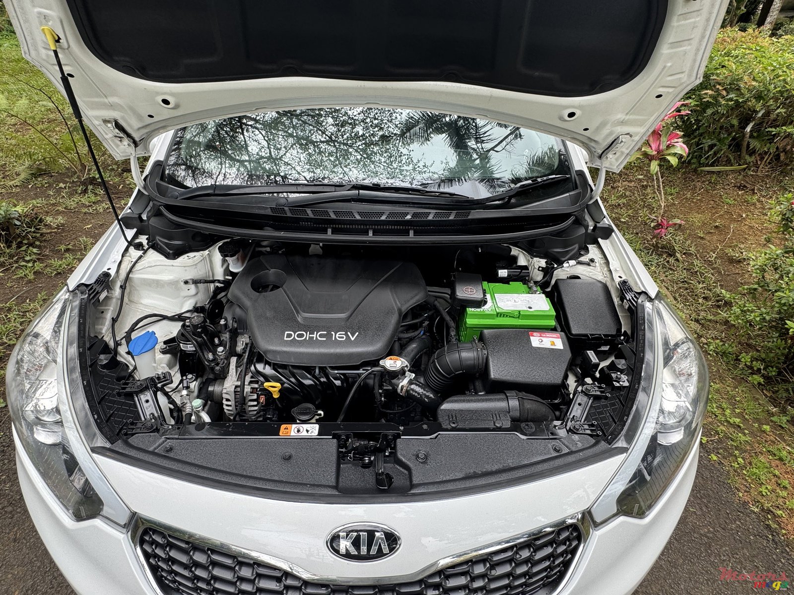 2016' Kia Cerato photo #6