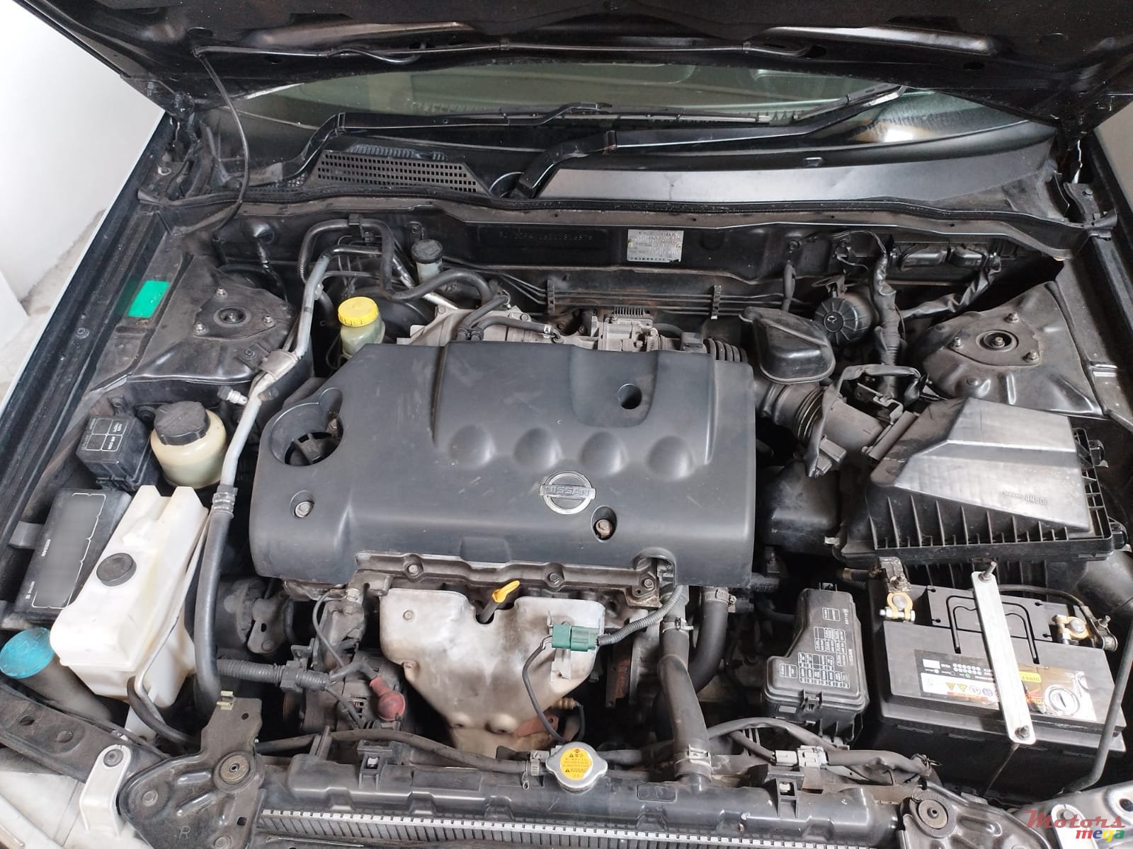 2005' Nissan Sunny photo #5