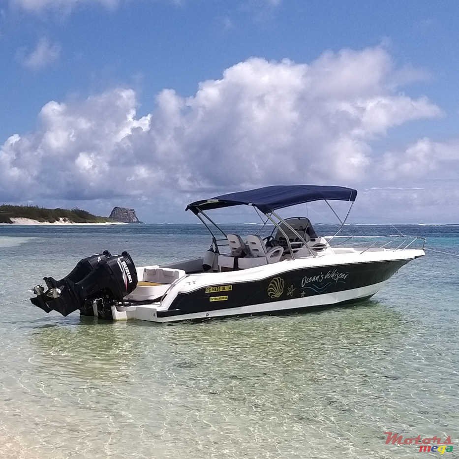 2011' Legend OV CC 28 photo #2