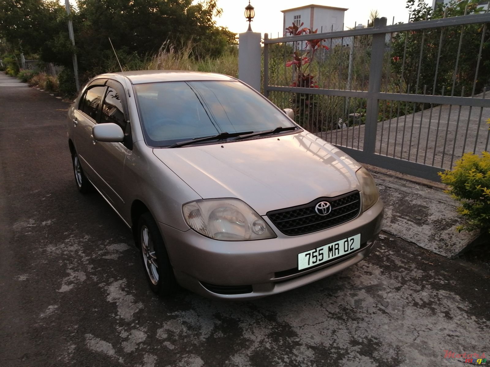 2002' Toyota Corolla photo #3