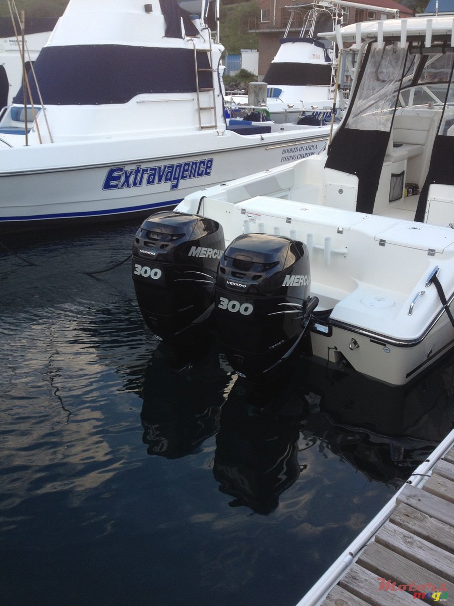 2009' Sea Triton 301XD photo #6