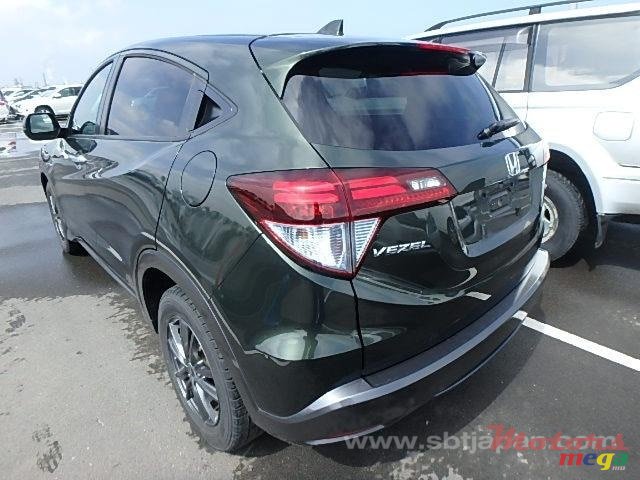 2020' Honda photo #1