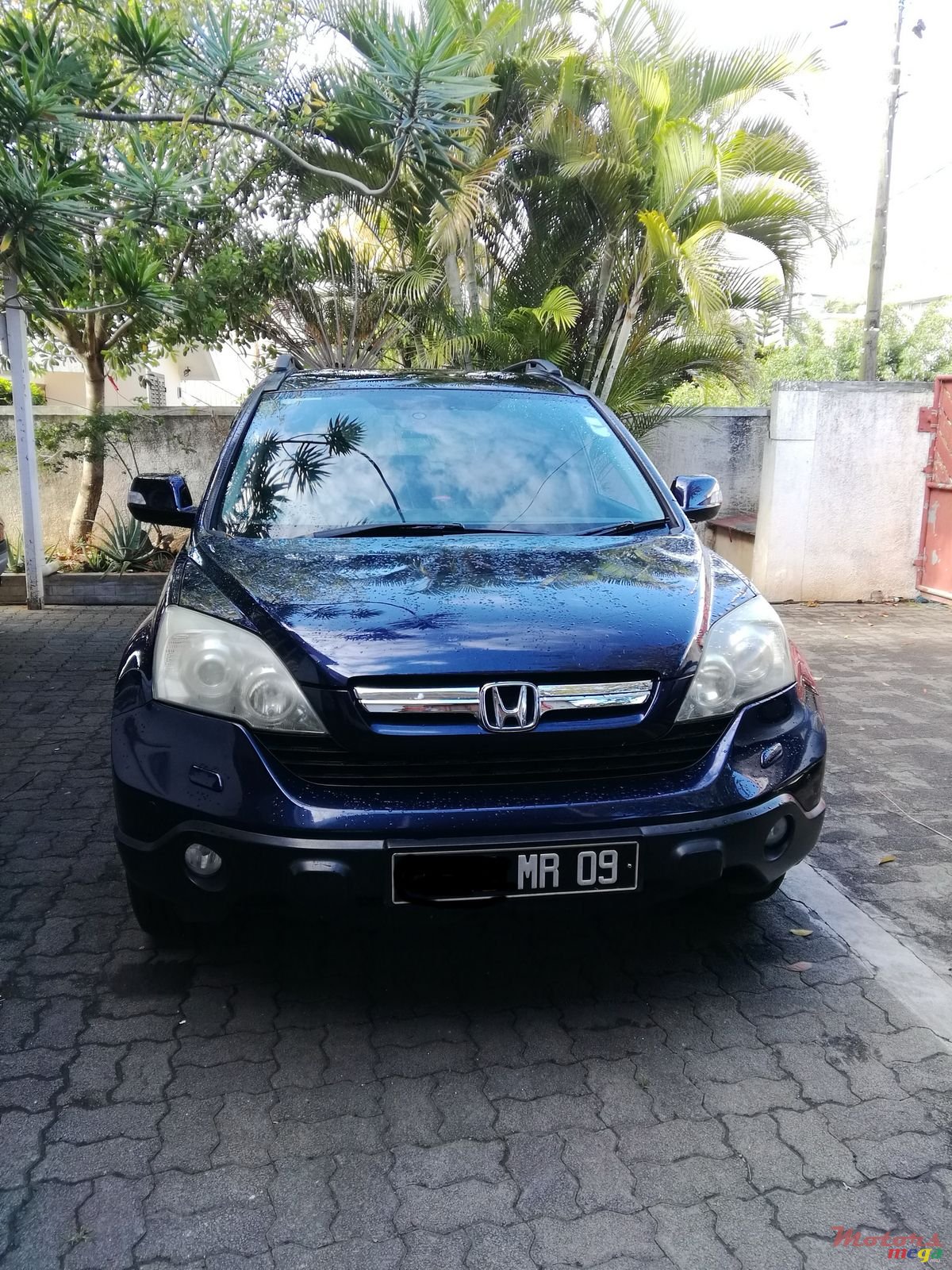 2009' Honda CR-V photo #1