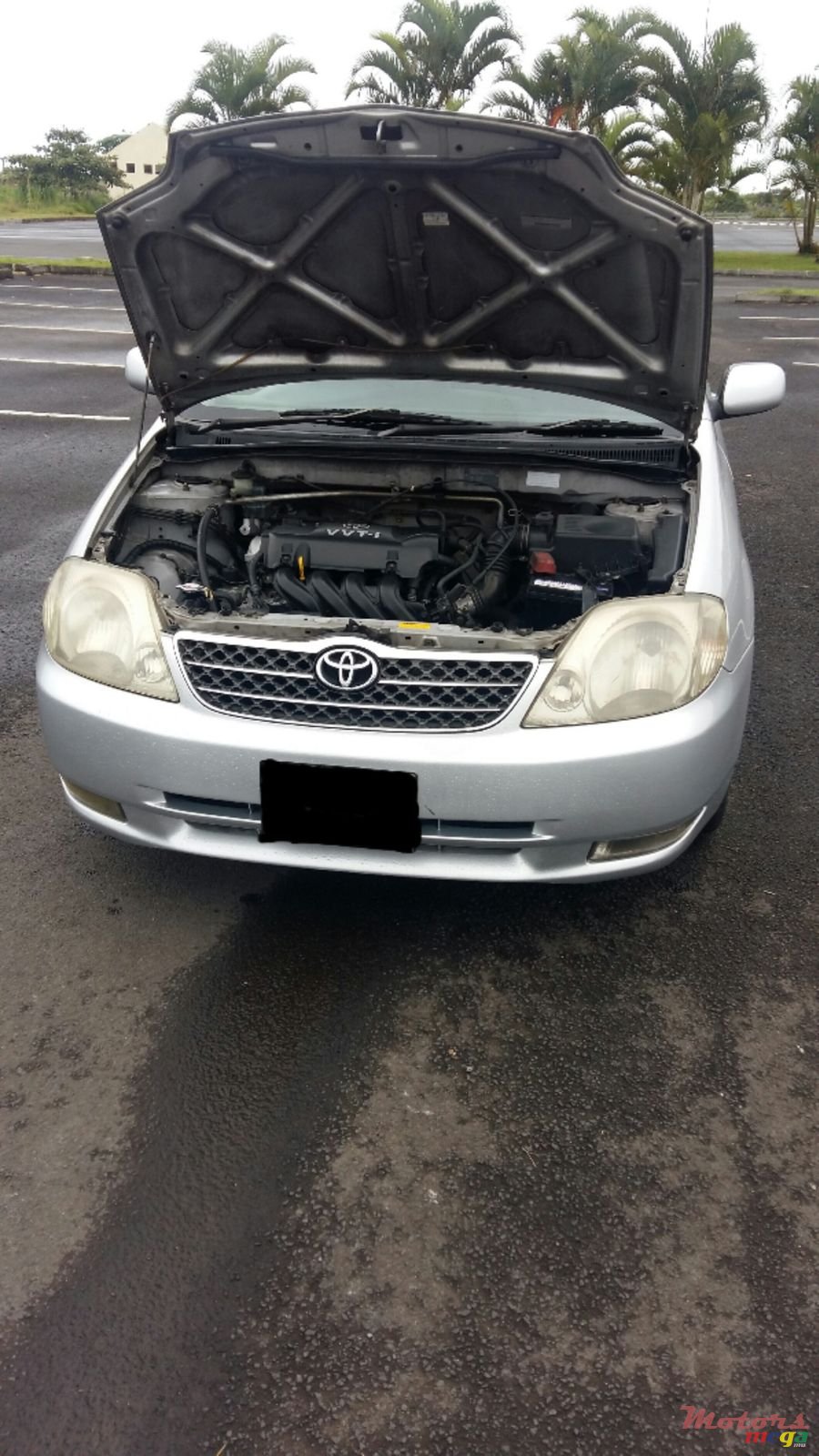 2002' Toyota Corolla photo #2