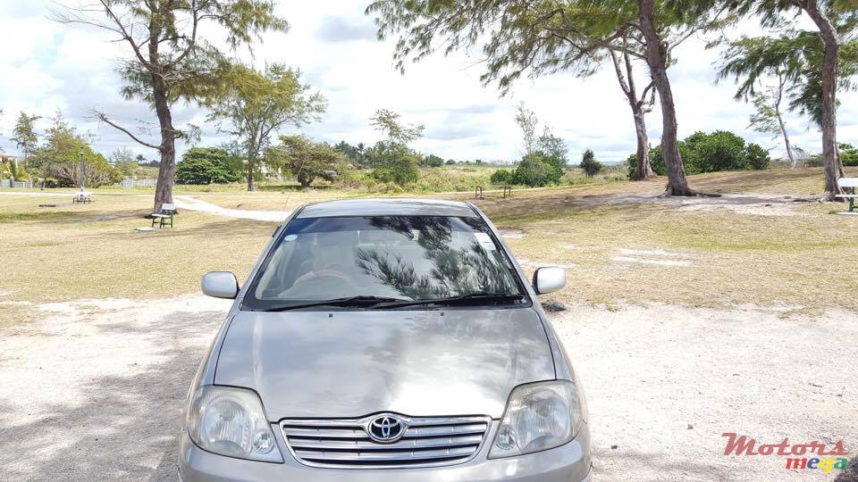 2002' Toyota Corolla photo #4