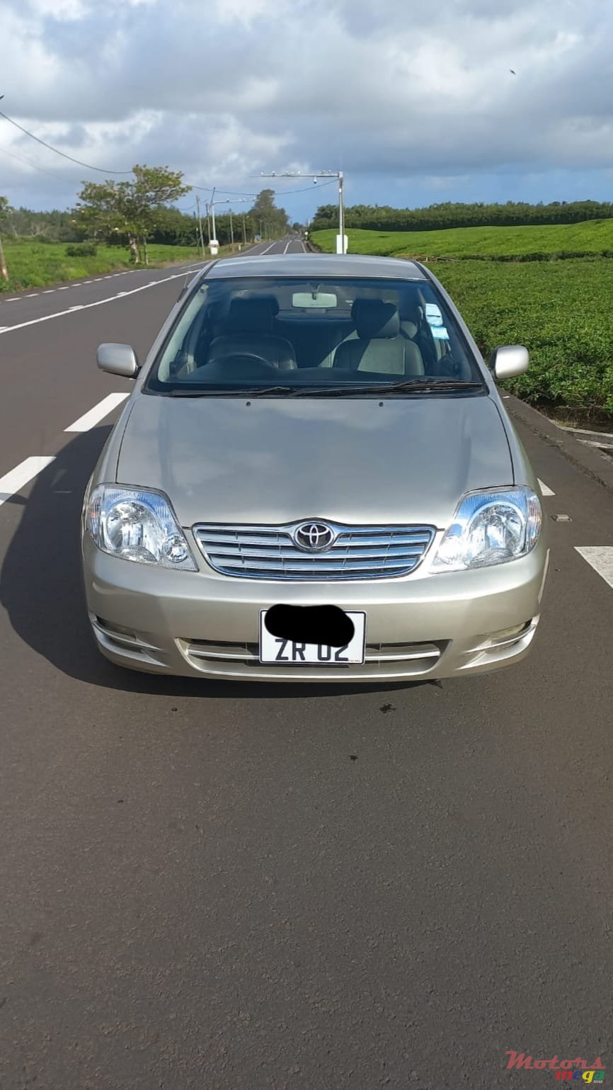 2002' Toyota Corolla photo #1