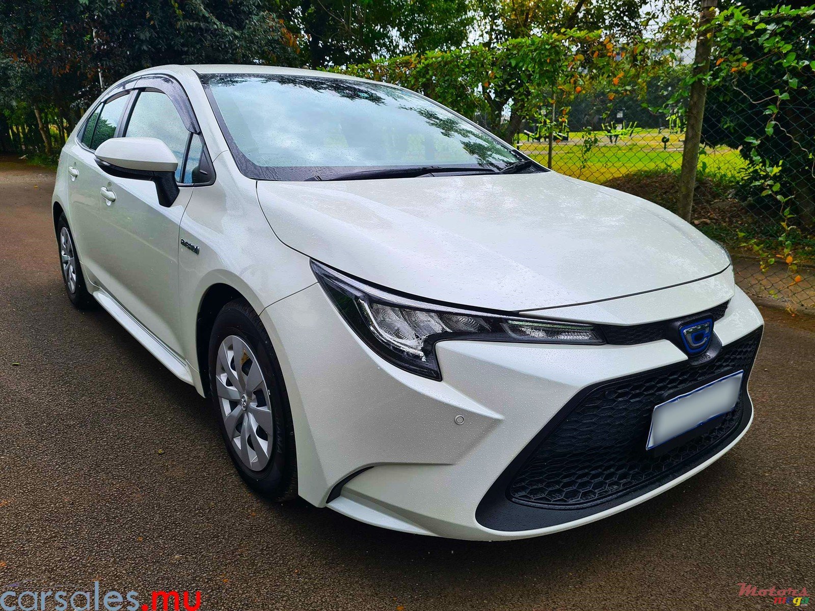 2019' Toyota Corolla Sedan 1.8 Hybrid photo #2