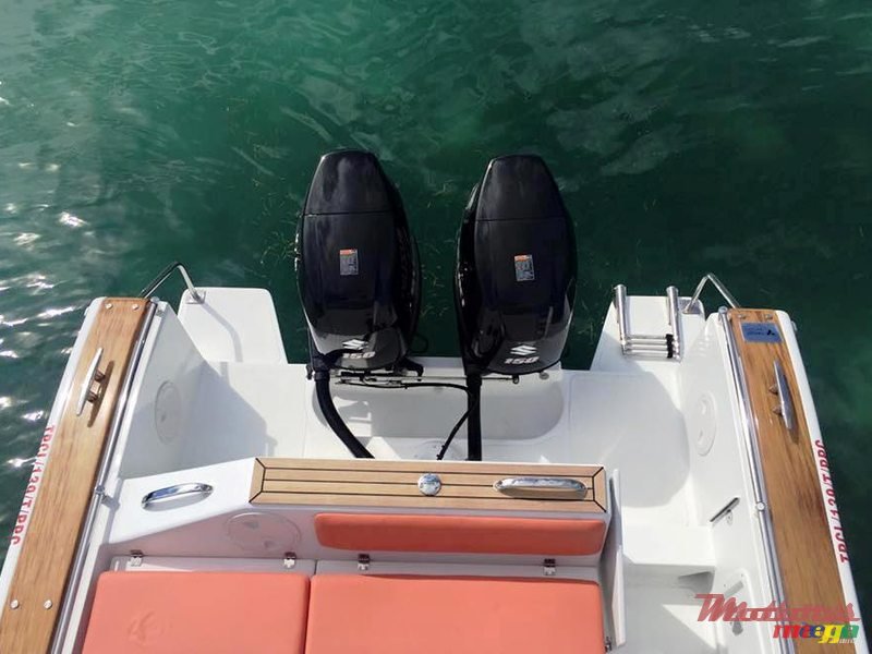 2016' Tema marine photo #4