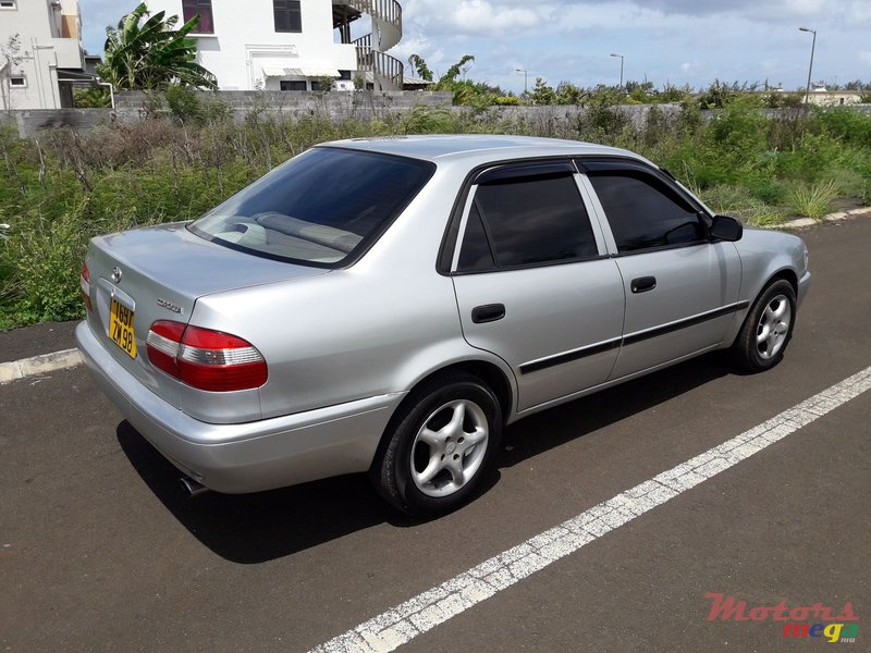 1998' Toyota Corolla photo #1