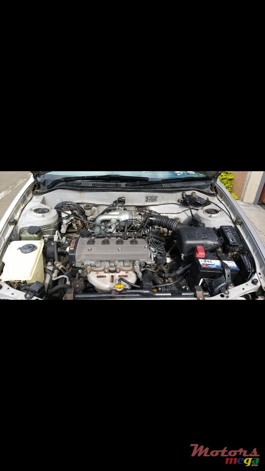 1998' Toyota Corolla photo #4