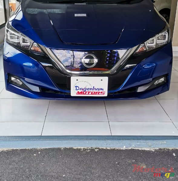2019' Nissan Leaf photo #1