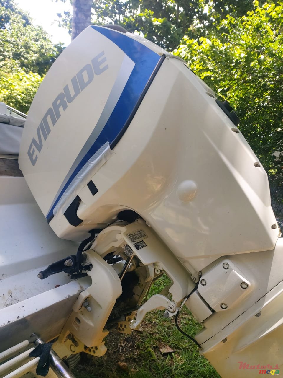 2008' Evinrude photo #5