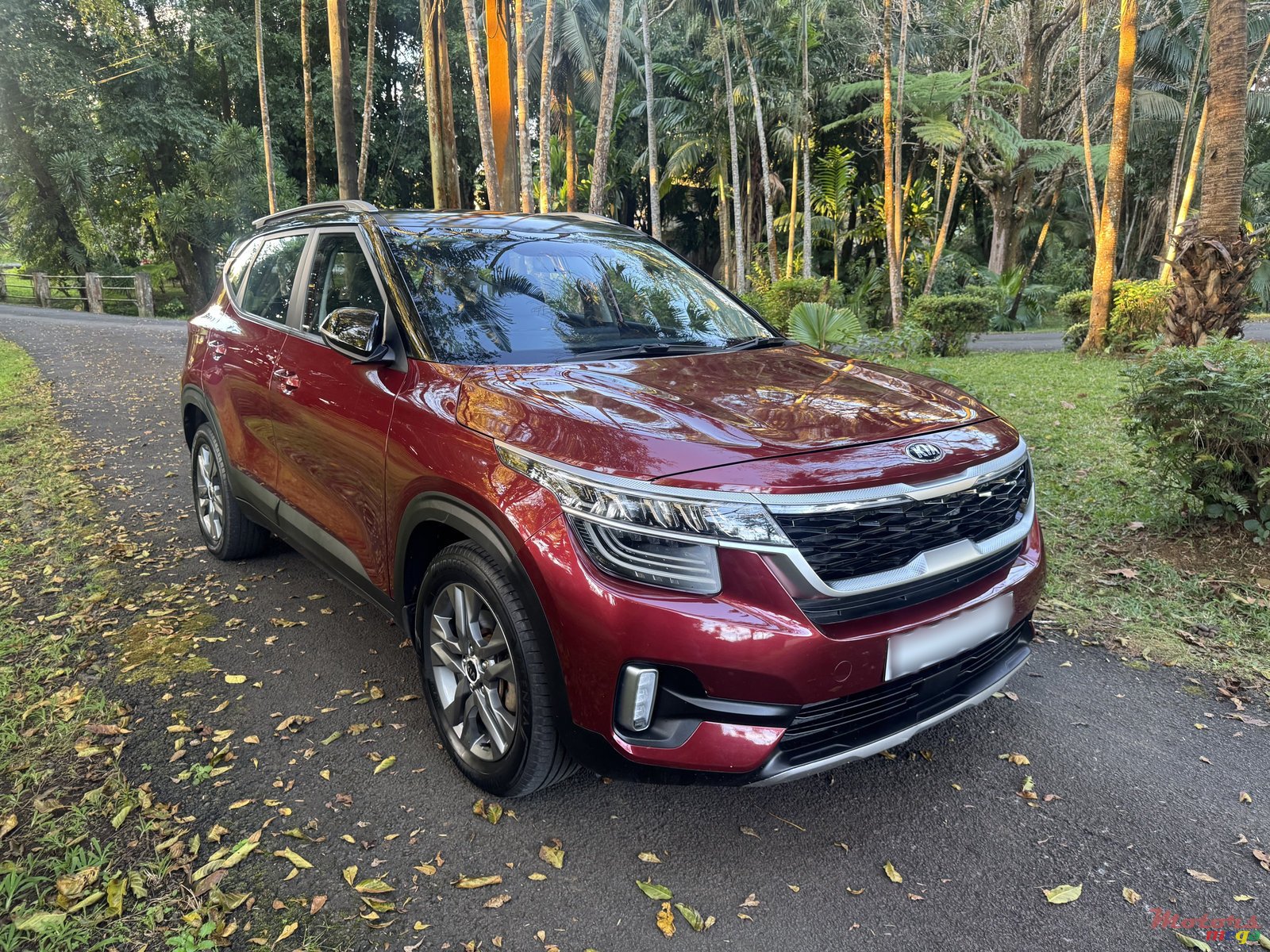 2021' Kia Seltos photo #1