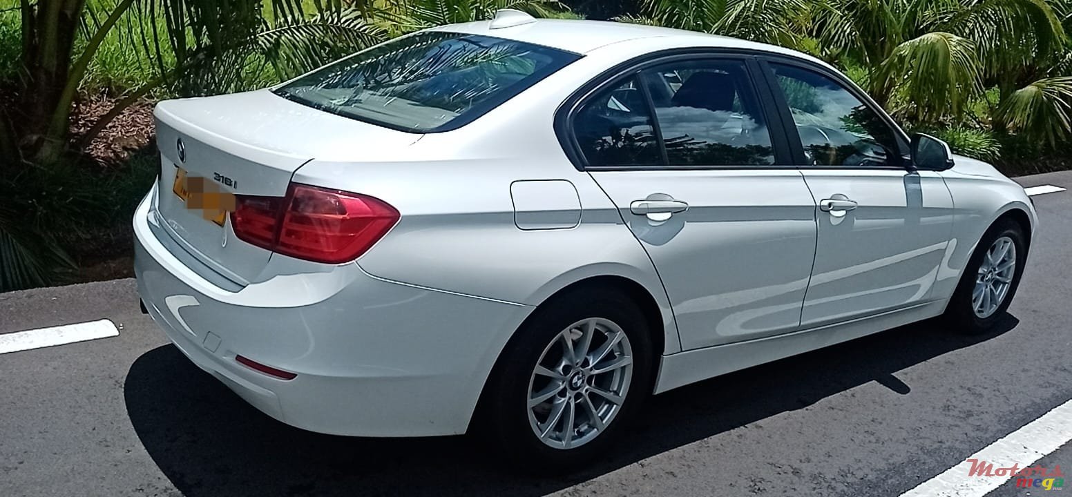 2013' BMW 316 photo #3