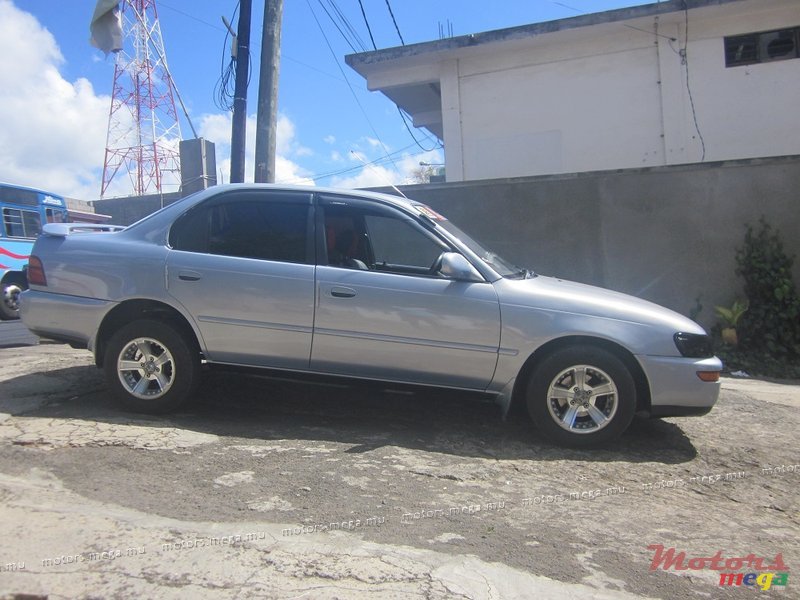 1996' Toyota Corolla photo #2