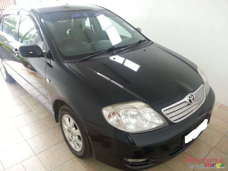 2003' Toyota NZE photo #2