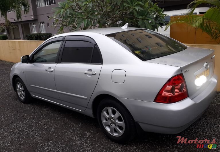 2007' Toyota Corolla photo #1