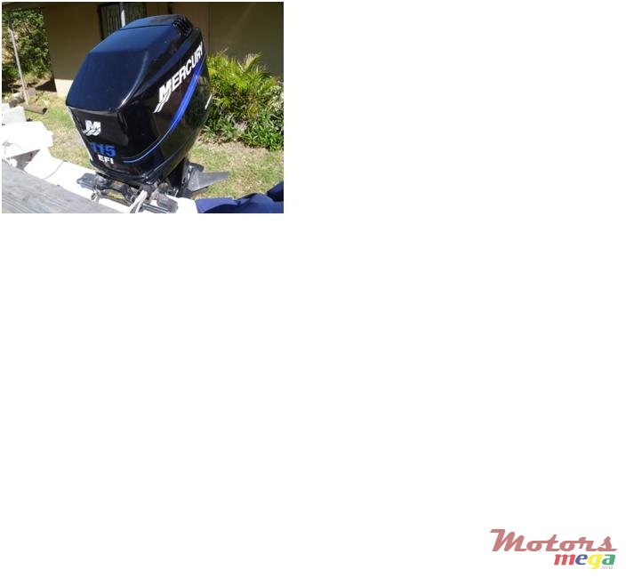 2002' Mercury no photo #3