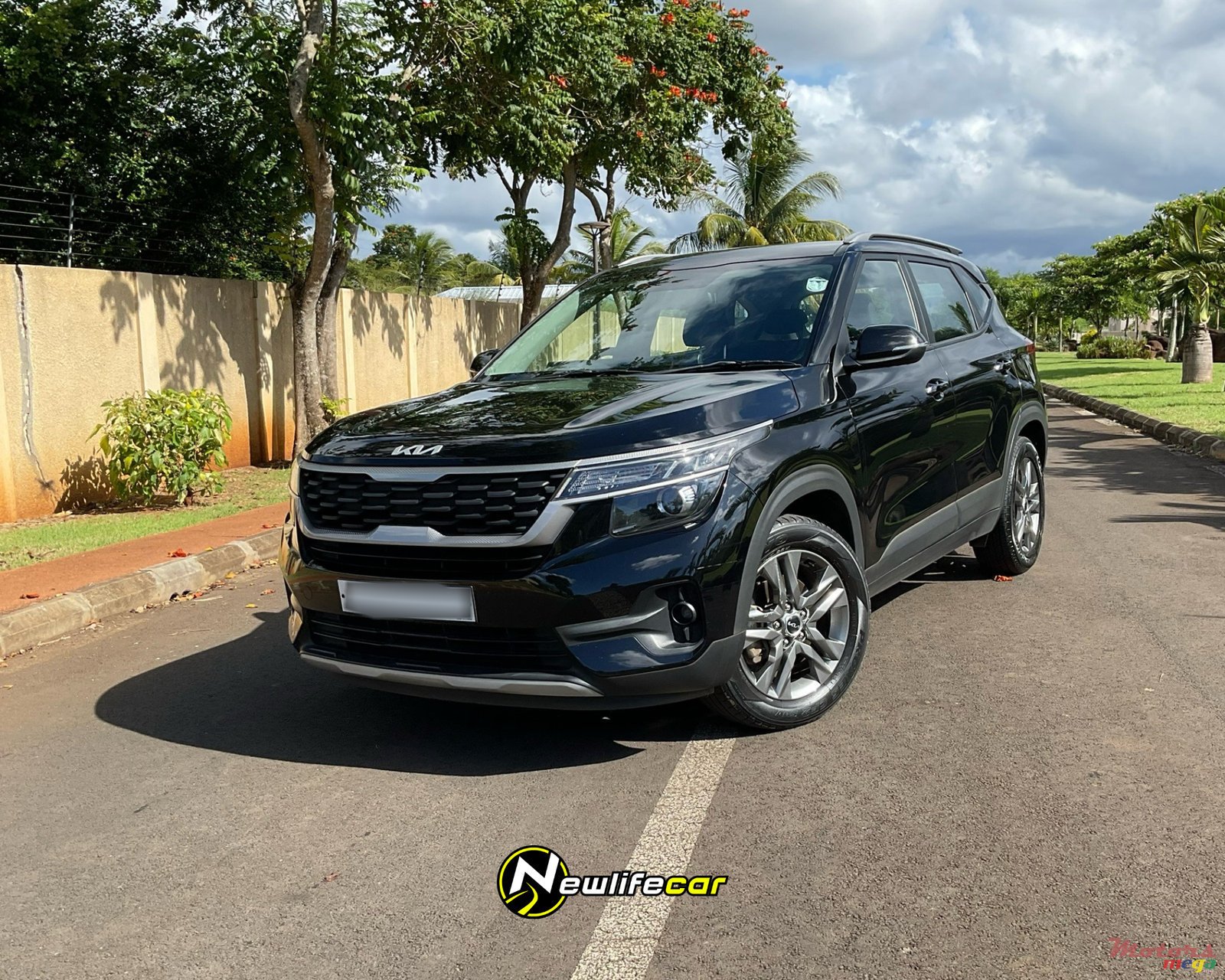 2022' Kia Seltos photo #1