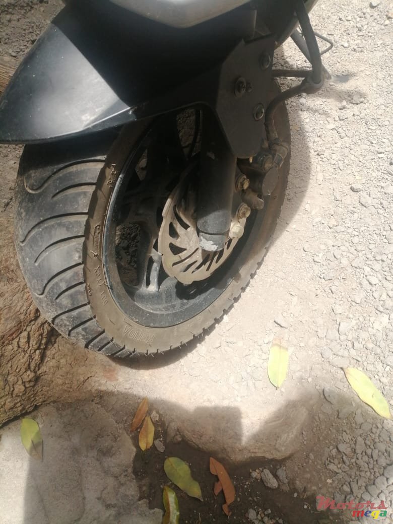 2017' Easy Rider photo #5