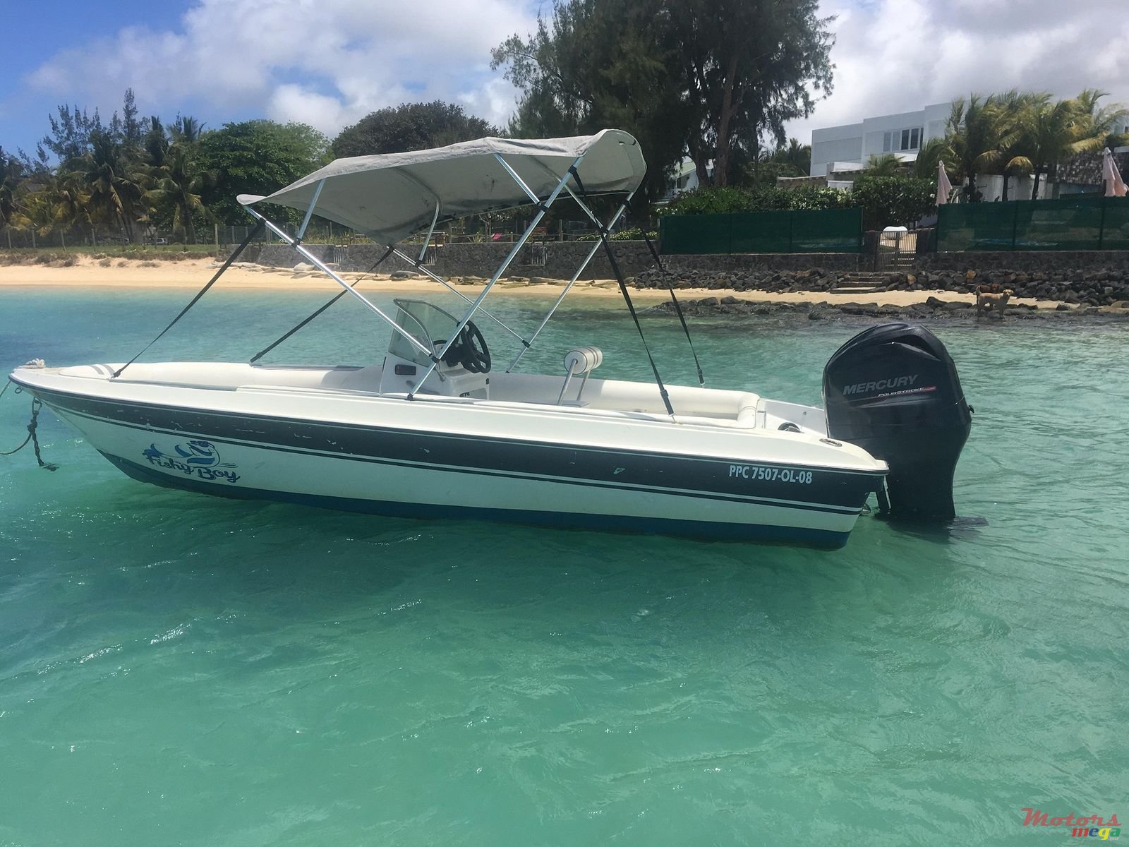 2012' Cobra photo #1