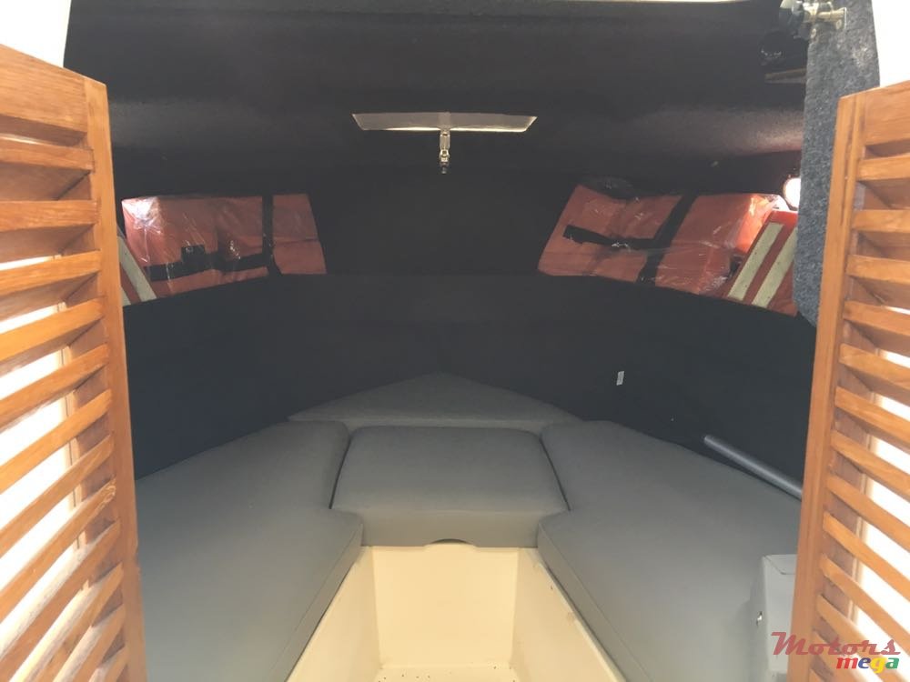 2014' Correct Craft photo #5