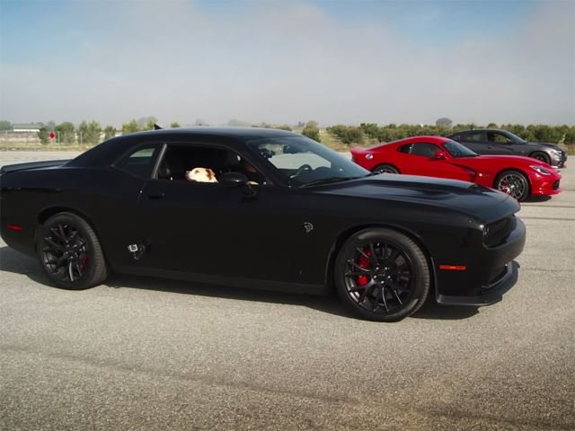 Get Ready For The Most Bitchn' Hellcat Vs Hellcat Vs Viper Madness You'll Ever See