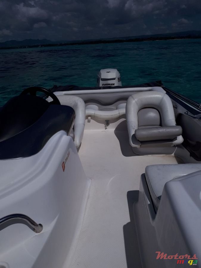 2008' Cobra photo #4