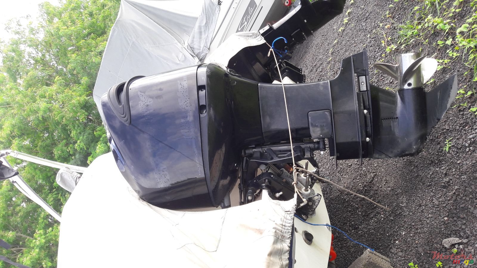 2014' Sunsation photo #3