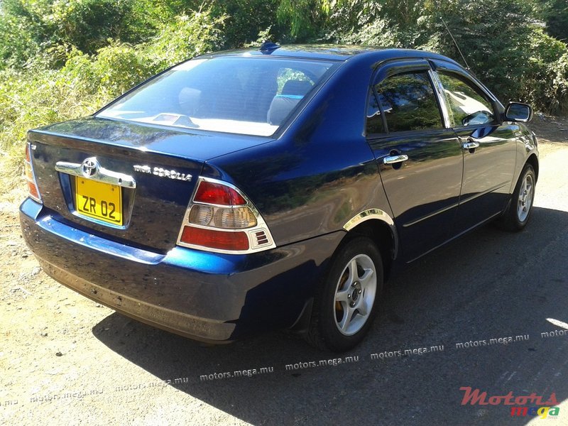 2002' Toyota Corolla XLI photo #4