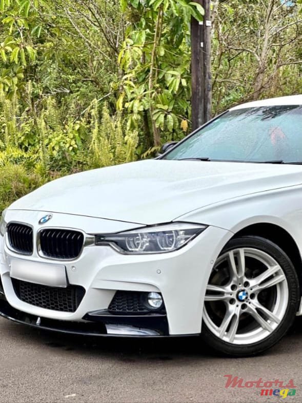 2015' BMW 318 photo #2