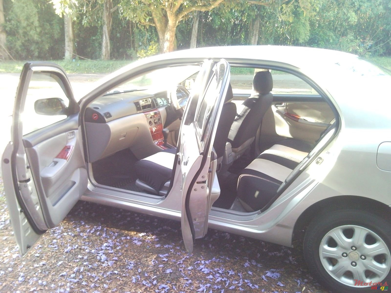 2002' Toyota Corolla NZE photo #4