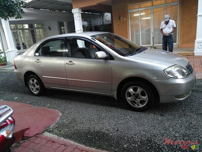 2001' Toyota Corolla NZE photo #2