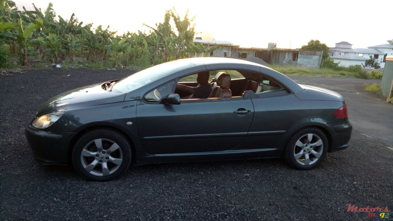 2004' Peugeot 307 photo #5