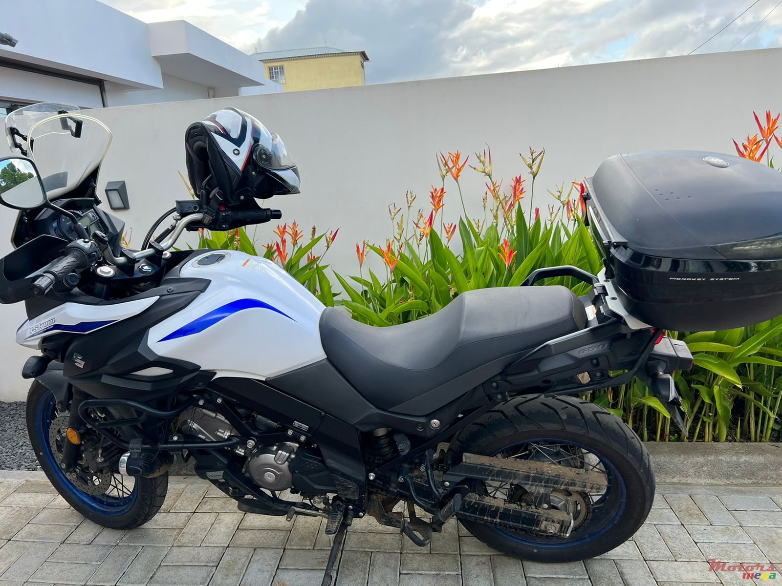 2020' Suzuki photo #4