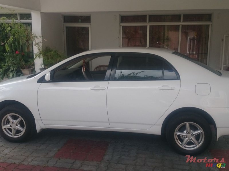 2003' Toyota Corolla NZE photo #3