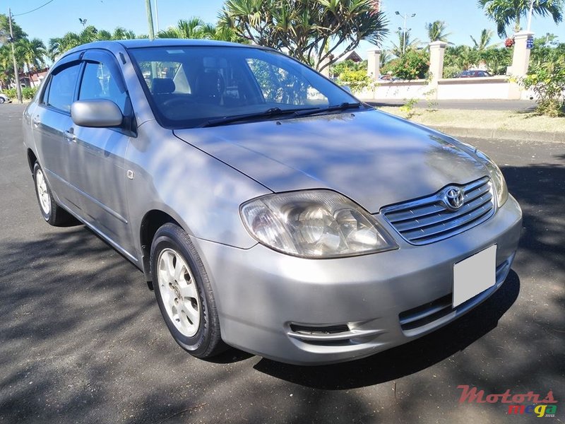 2002' Toyota Corolla NZE photo #2