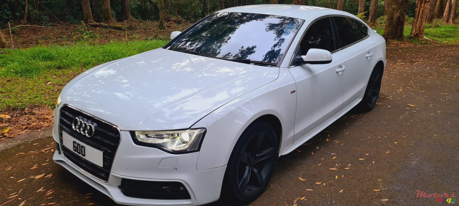 2013' Audi A5 photo #1