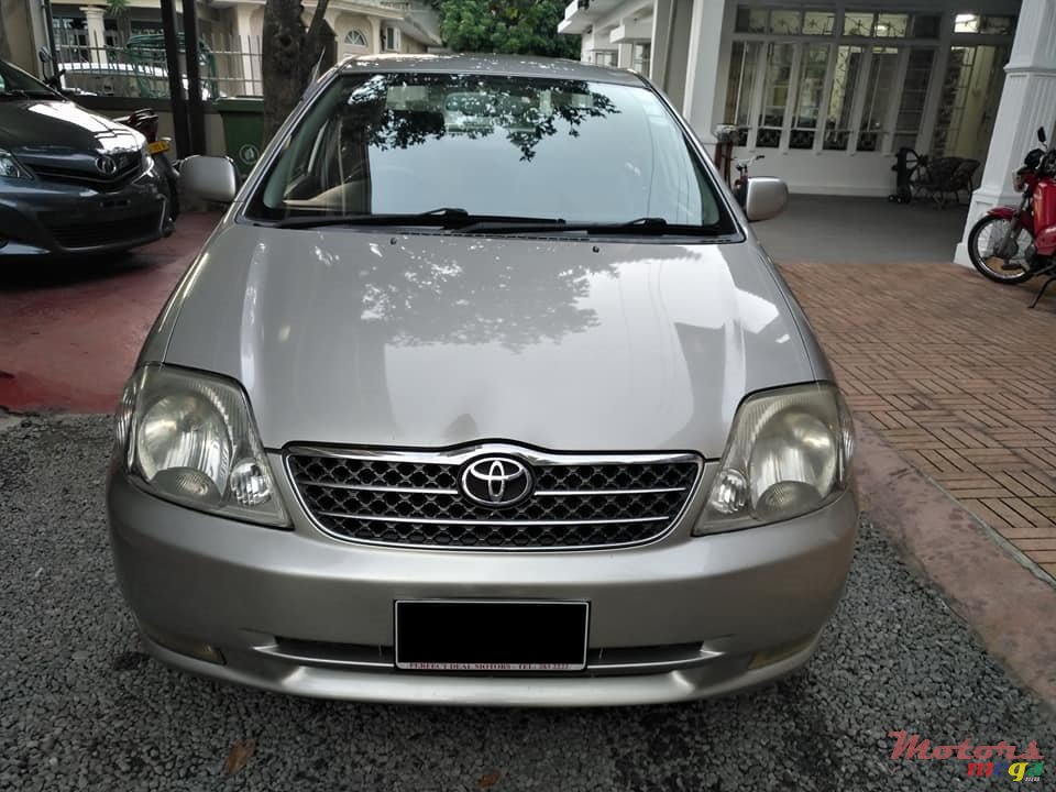2001' Toyota Corolla NZE photo #1